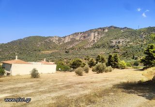 Οικόπεδο 4.750 τ.μ. πρός πώληση, Κορινθία, Ευρωστίνη-thumb-8