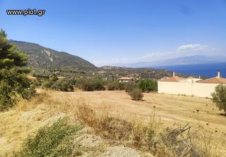 Οικόπεδο 4.750 τ.μ. πρός πώληση, Κορινθία, Ευρωστίνη-thumb-12