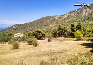 Οικόπεδο 4.750 τ.μ. πρός πώληση, Κορινθία, Ευρωστίνη-thumb-13