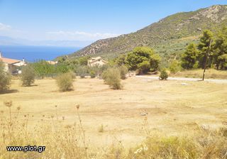 Οικόπεδο 4.750 τ.μ. πρός πώληση, Κορινθία, Ευρωστίνη-thumb-14