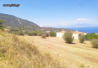 Οικόπεδο 4.750 τ.μ. πρός πώληση, Κορινθία, Ευρωστίνη-thumb-15