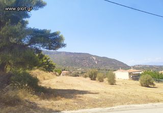 Οικόπεδο 4.750 τ.μ. πρός πώληση, Κορινθία, Ευρωστίνη-thumb-18