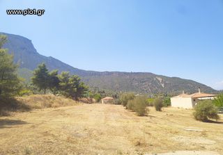 Οικόπεδο 4.750 τ.μ. πρός πώληση, Κορινθία, Ευρωστίνη-thumb-19