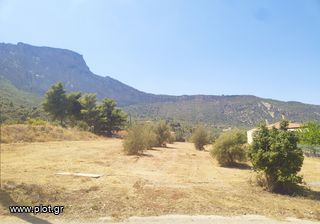Οικόπεδο 4.750 τ.μ. πρός πώληση, Κορινθία, Ευρωστίνη-thumb-20
