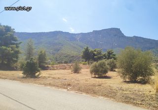 Οικόπεδο 4.750 τ.μ. πρός πώληση, Κορινθία, Ευρωστίνη-thumb-21