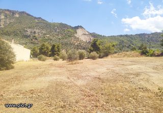 Οικόπεδο 4.750 τ.μ. πρός πώληση, Κορινθία, Ευρωστίνη-thumb-22