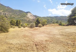Οικόπεδο 4.750 τ.μ. πρός πώληση, Κορινθία, Ευρωστίνη-thumb-23