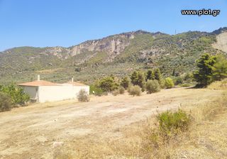 Οικόπεδο 4.750 τ.μ. πρός πώληση, Κορινθία, Ευρωστίνη-thumb-24