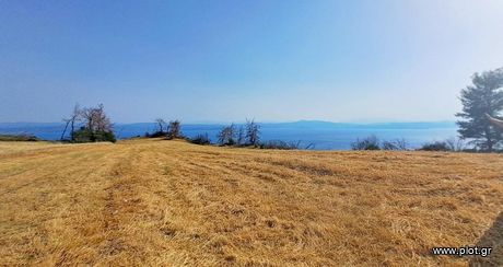 Parcel 34.000sqm for sale-Limni » Damia
