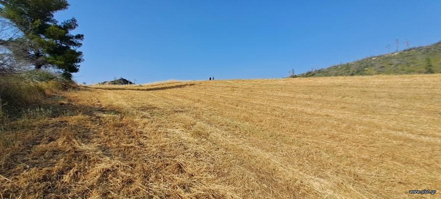 Αγροτεμάχια 34.000 τ.μ. προς πώληση, Δαμιά