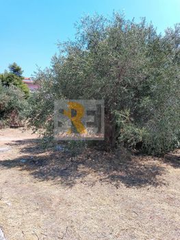 Οικόπεδο 298 τ.μ. για πώληση