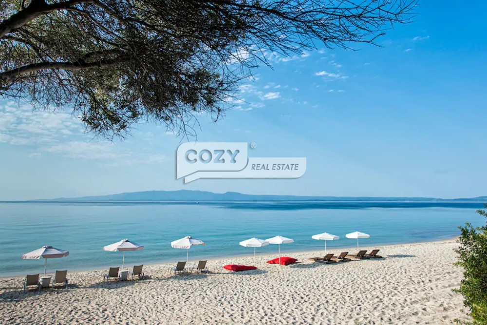 Οικόπεδο 50.080 τ.μ. πρός πώληση, Χαλκιδική, Παναγιά