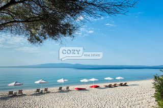 Οικόπεδο 50.080 τ.μ. για πώληση