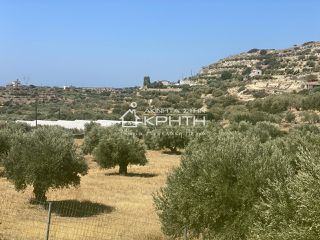 Land plot 4.126 sqm for sale