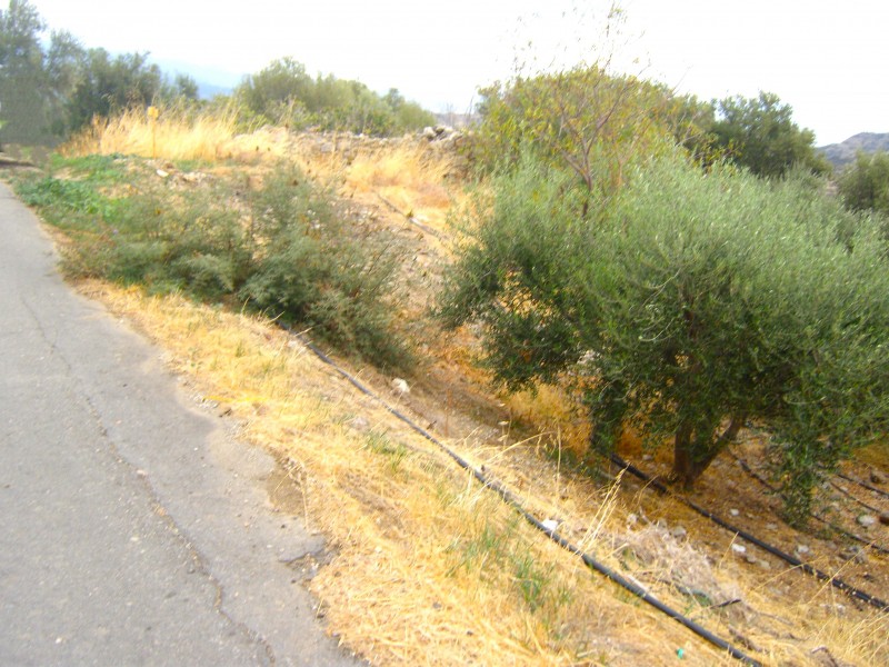 Οικόπεδο 500 τ.μ. πρός πώληση, Ν. Λασιθίου, Ιεράπετρα