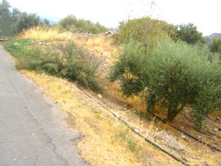 Οικόπεδο 500 τ.μ. για πώληση, Ν. Λασιθίου, Ιεράπετρα-thumb-1