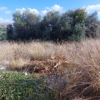 Land plot 400 sqm for sale