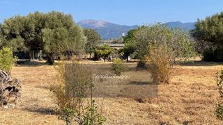 Οικόπεδο 2.156 τ.μ. για πώληση, Αχαΐα, Ρίο-thumb-6