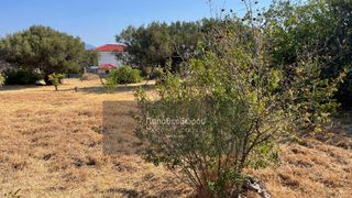 Οικόπεδο 2.156 τ.μ. για πώληση, Αχαΐα, Ρίο-thumb-5