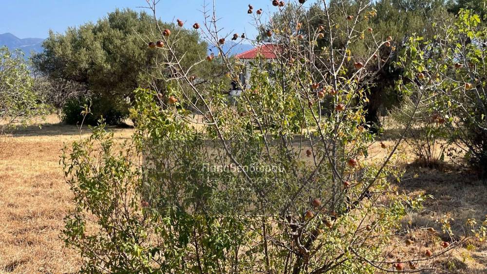 Οικόπεδο 2.156 τ.μ. προς πώληση, Αχαΐα, Ρίο