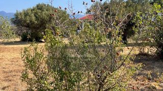 Οικόπεδο 2.156 τ.μ. για πώληση, Αχαΐα, Ρίο-thumb-1