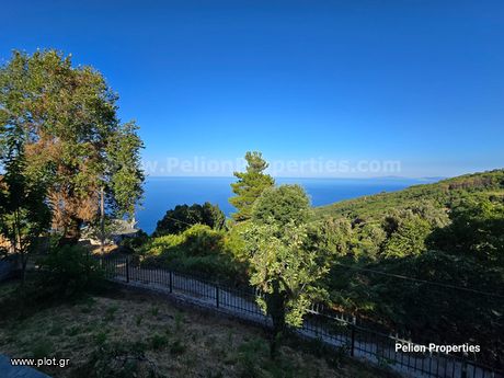Villa 240sqm for sale-Mouresi » Tsagkarada