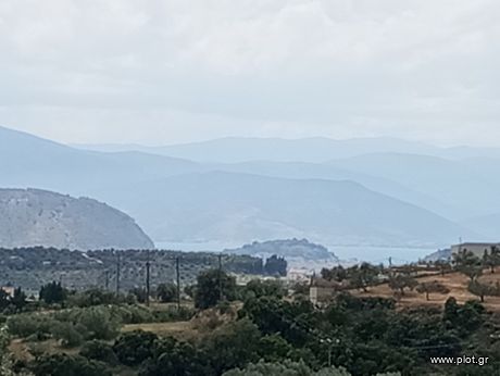 Αγροτεμάχια 11.000 τ.μ. για πώληση