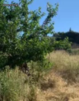 Land plot 6.000sqm for sale-Santorini » Thira