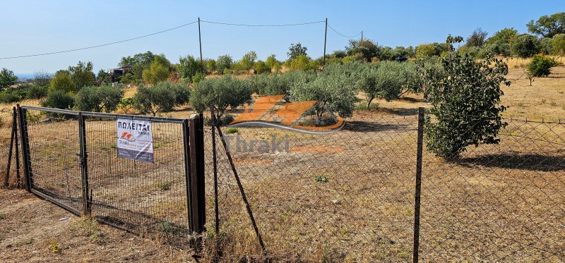 Αγροτεμάχια 6.200 τ.μ. προς πώληση, Μάνα του Νερού