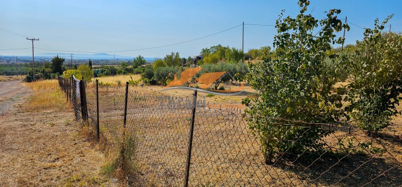 Αγροτεμάχια 6.200 τ.μ. προς πώληση, Μάνα του Νερού