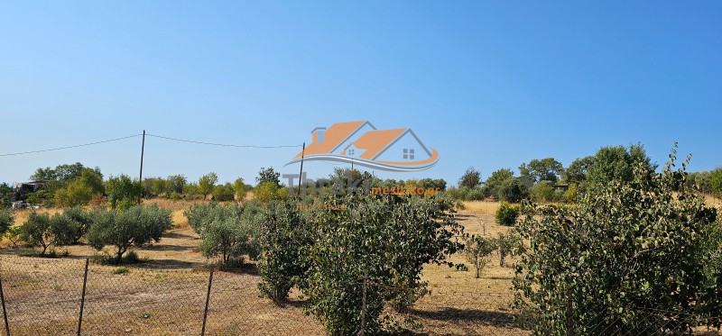 Αγροτεμάχια 6.200 τ.μ. προς πώληση, Μάνα του Νερού