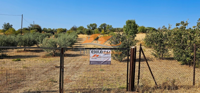 Αγροτεμάχια 6.200 τ.μ. προς πώληση, Μάνα του Νερού