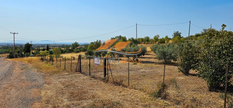 Αγροτεμάχια 6.200 τ.μ. προς πώληση, Μάνα του Νερού