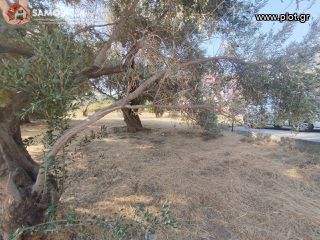 Land plot 740,69 sqm for sale, Samos Prefecture, Samos-thumb-2