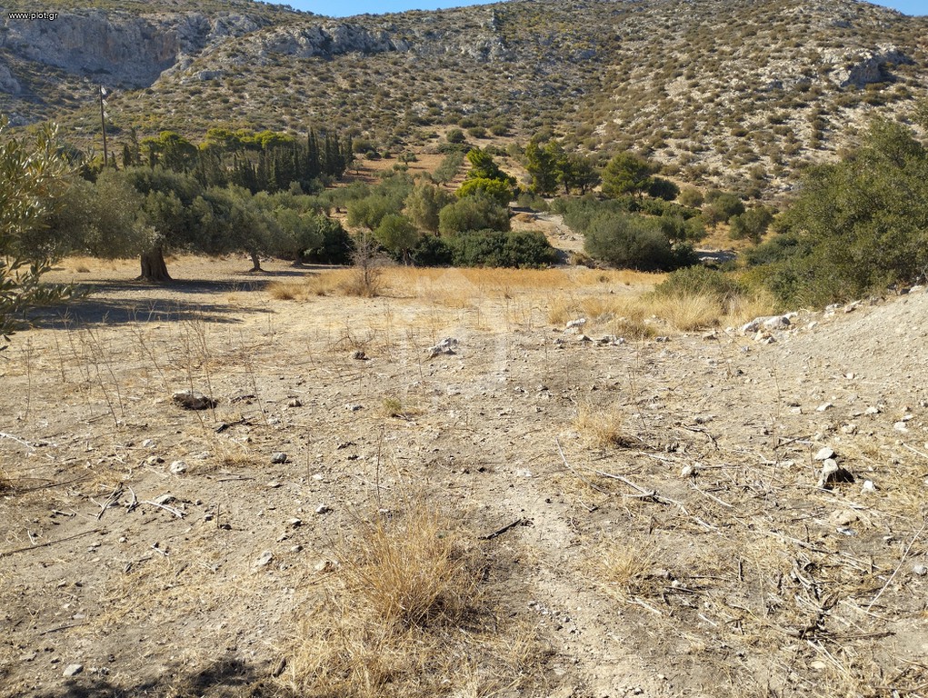 Αγροτεμάχια 1.054 τ.μ. προς πώληση, Μονή Μεταμόρφωσης Σωτήρα