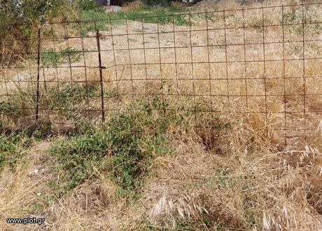 Αγροτεμάχια 280τ.μ. για πώληση-Νέα αλικαρνασσός » Κέντρο