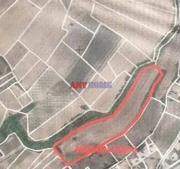 Αγροτεμάχια 31.000 τ.μ. για πώληση