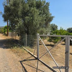 Οικόπεδο 6.700 τ.μ. πρός πώληση, Εύβοια, Ερέτρια-thumb-8