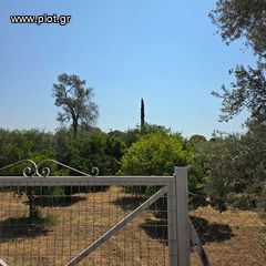 Οικόπεδο 6.700 τ.μ. πρός πώληση, Εύβοια, Ερέτρια-thumb-7
