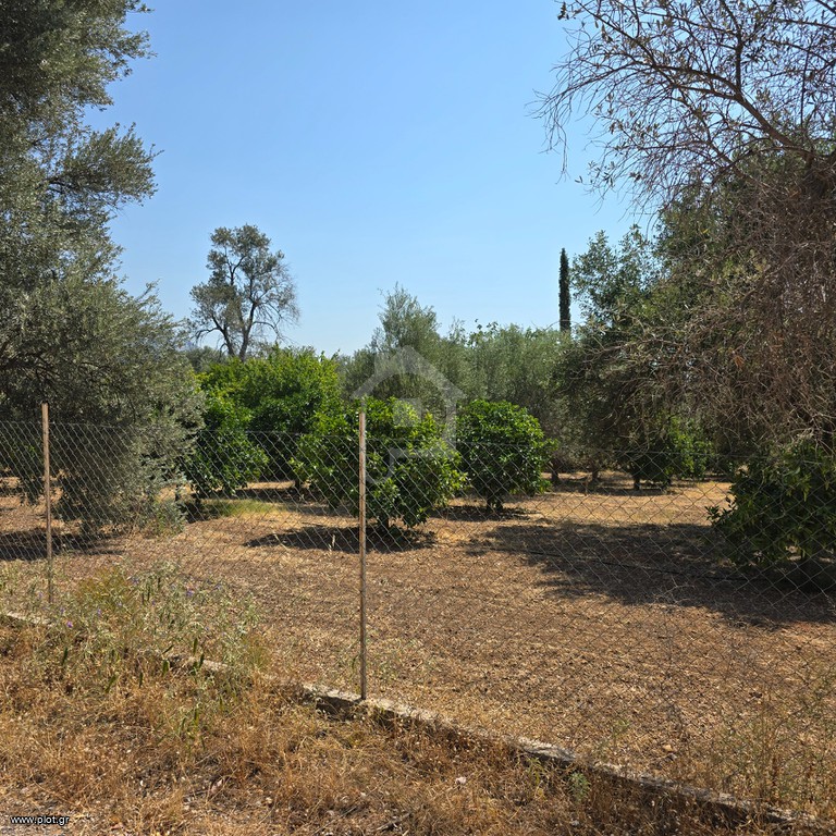 Οικόπεδο 6.700 τ.μ. προς πώληση, Μαλακώντα
