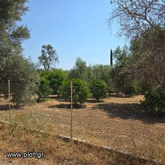 Οικόπεδο 6.700 τ.μ. πρός πώληση, Εύβοια, Ερέτρια-thumb-3
