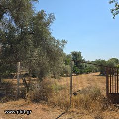 Οικόπεδο 6.700 τ.μ. πρός πώληση, Εύβοια, Ερέτρια-thumb-1