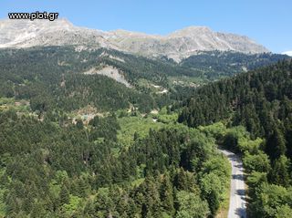Οικόπεδο 12.000 τ.μ. προς πώληση, Βουργαρέλι-thumb-5