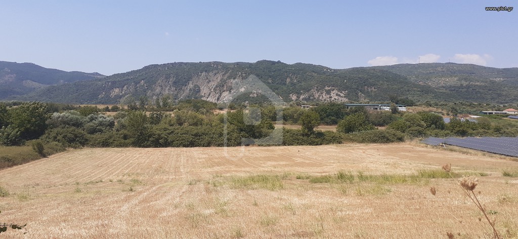 Αγροτεμάχια 15.000 τ.μ. προς πώληση, Αιτωλοακαρνανία, Φυτείες