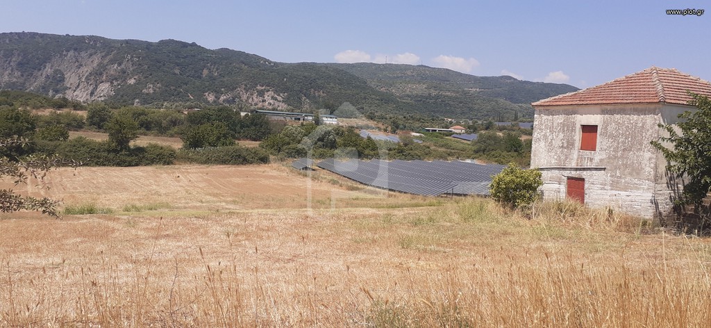 Αγροτεμάχια 15.000 τ.μ. προς πώληση, Αιτωλοακαρνανία, Φυτείες