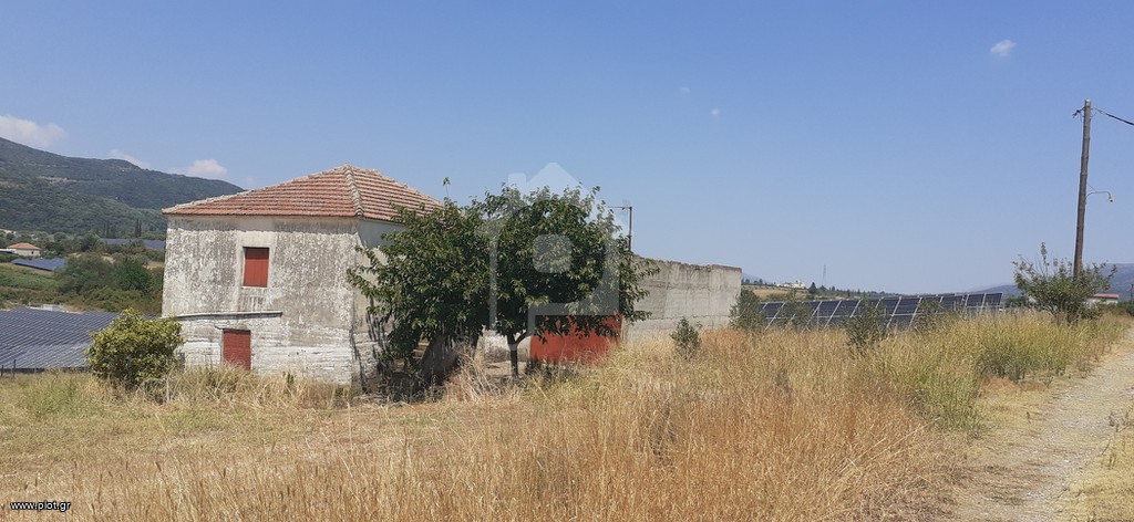 Αγροτεμάχια 15.000 τ.μ. προς πώληση, Αιτωλοακαρνανία, Φυτείες