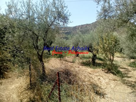 Οικόπεδο 1.000τ.μ. για πώληση-Διακοπτό » Δερβένι