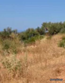 Land plot 27.000sqm for sale-Amorgos » Paralia Tholarion