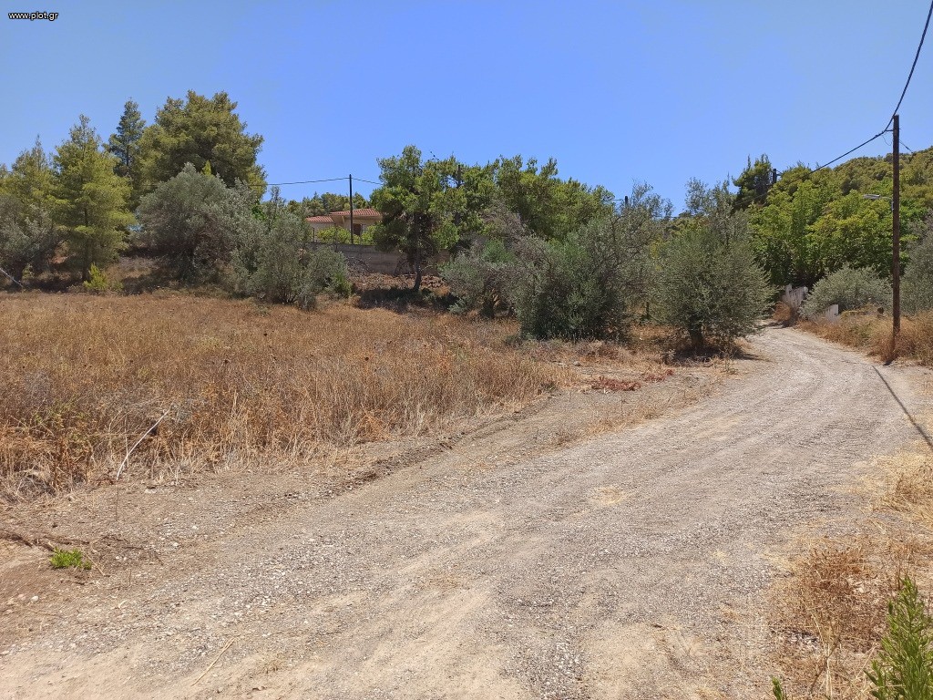 Αγροτεμάχια 5.500 τ.μ. πρός πώληση, Αττική - Υπόλοιπο, Αλεποχώρι