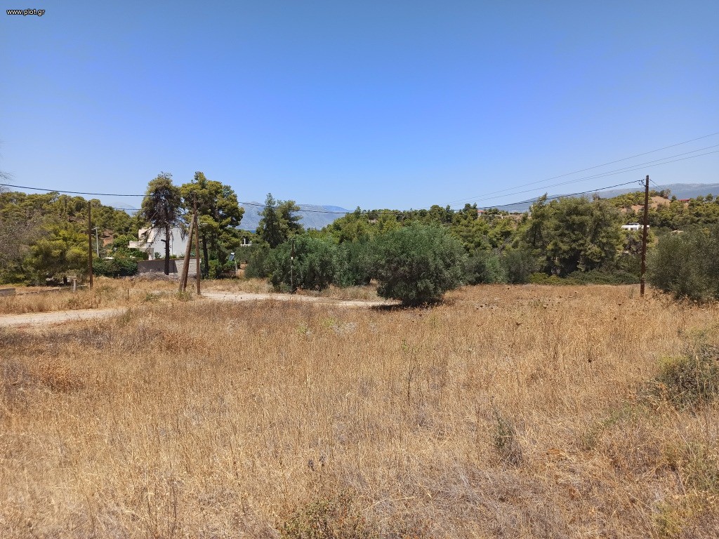 Αγροτεμάχια 5.500 τ.μ. πρός πώληση, Αττική - Υπόλοιπο, Αλεποχώρι